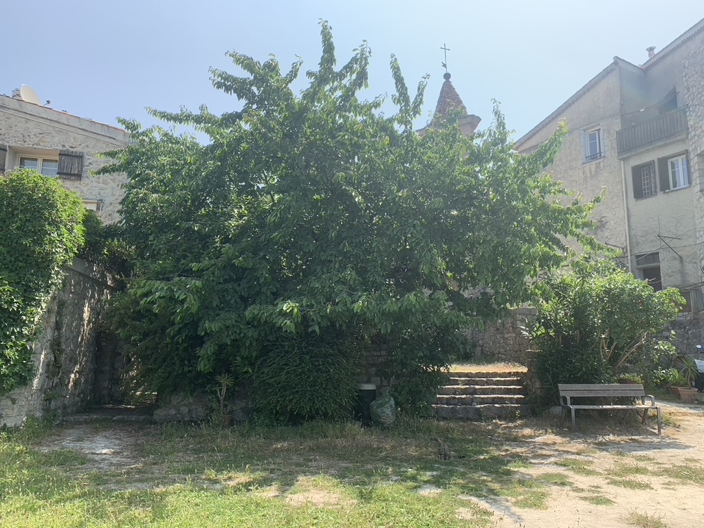 Salle de bain privée 🛁