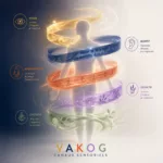 Illustration des 5 canaux sensoriels VAKOG représentés par des rubans lumineux autour d’une silhouette humaine (visuel, auditif, kinesthésique, olfactif, gustatif)