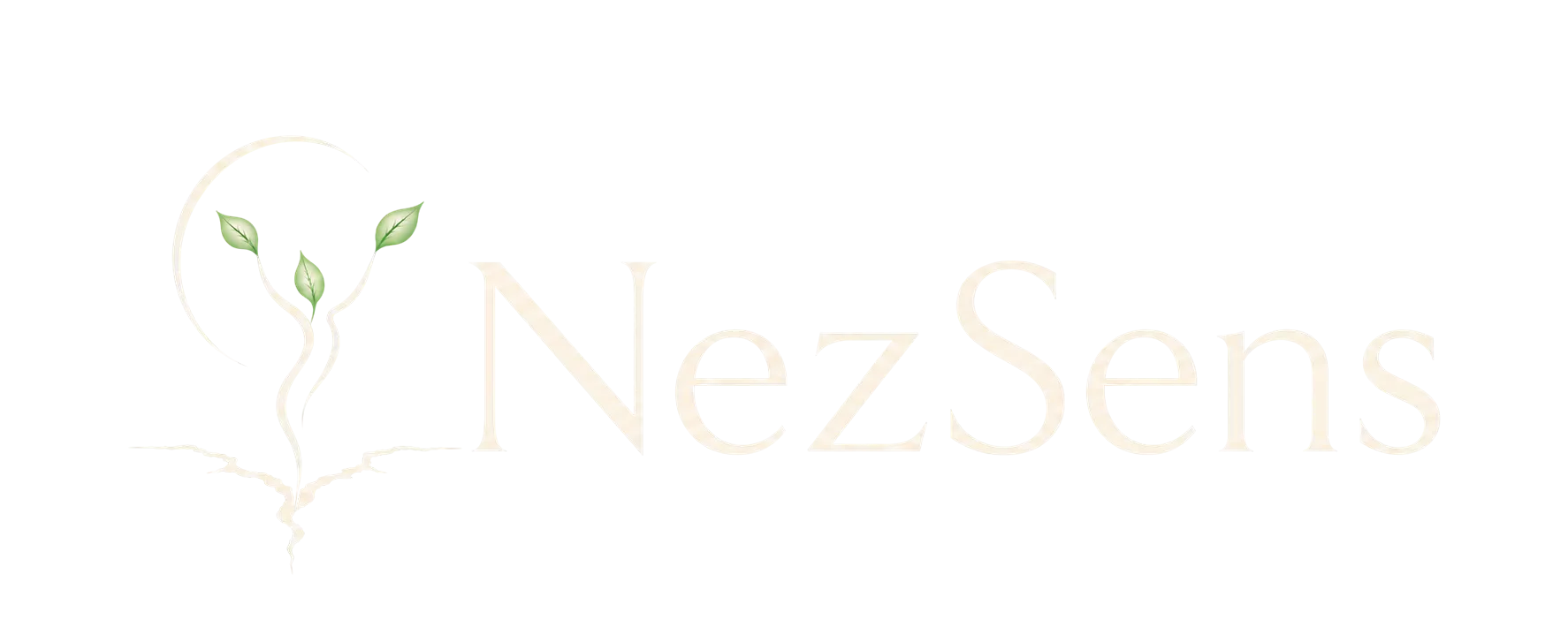 Logo horizontal NezSens transparent / blanc – header WordPress