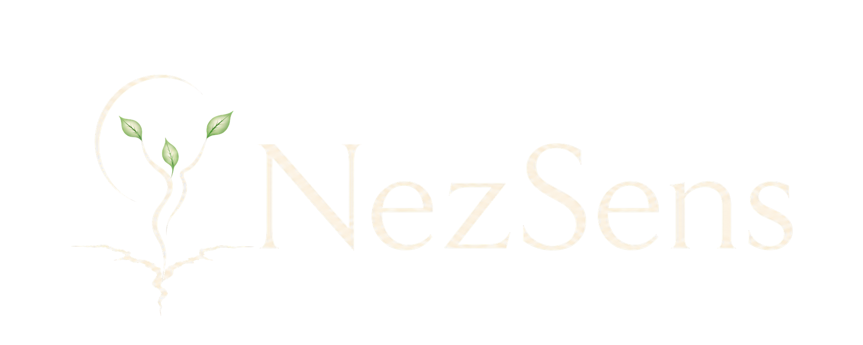 Logo horizontal NezSens transparent / blanc – header WordPress